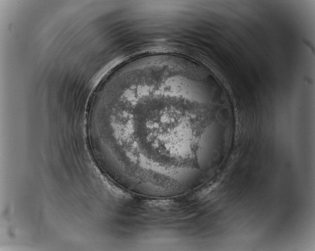 X0000103410853200809261642