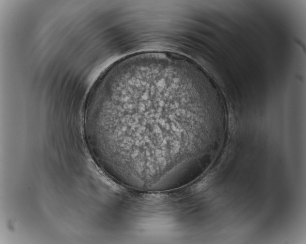 X0000103410854200809261642