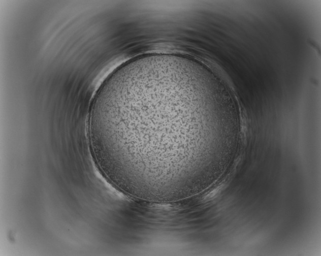 X0000103410855200809261642