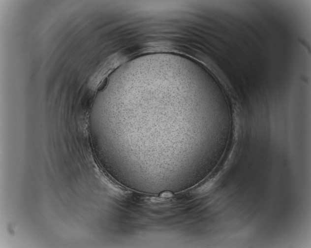 X0000103410857200809261642