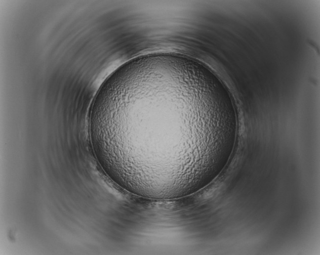 X0000103410858200809261642