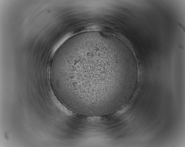 X0000103410859200809261642