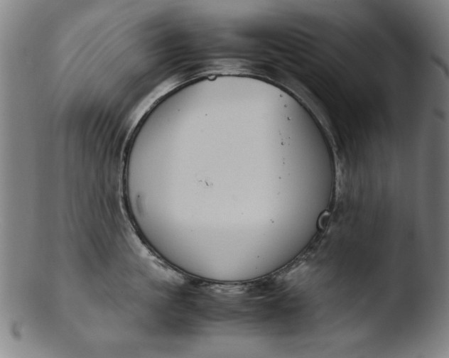 X0000103410861200809261642