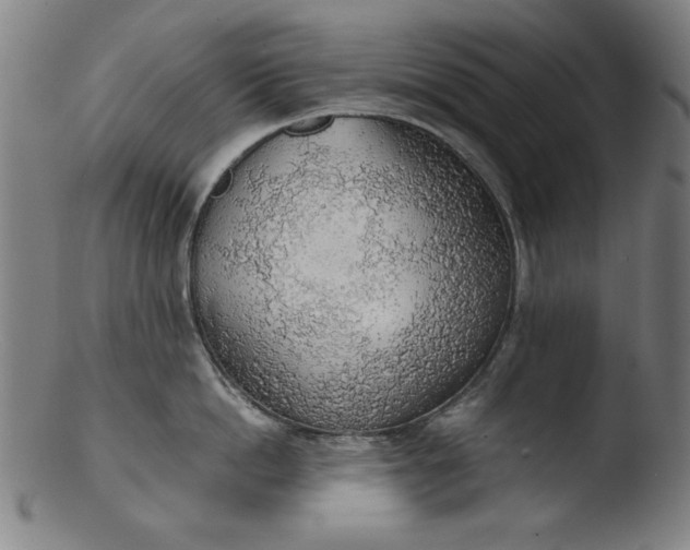 X0000103410862200809261642