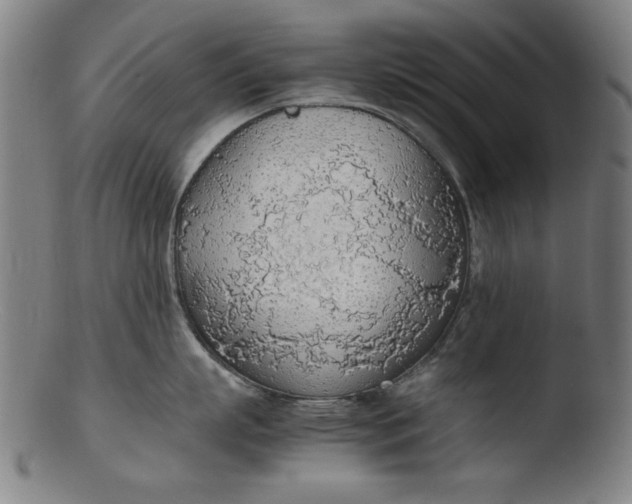 X0000103410863200809261642