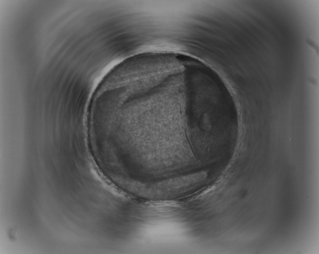 X0000103410864200809261642