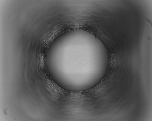 X0000103410866200809261641