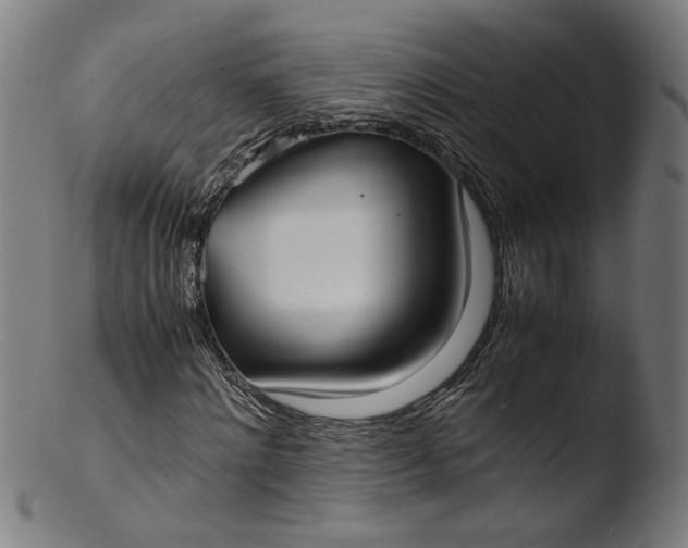 X0000103410868200809261641