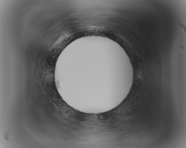 X0000103410869200809261641