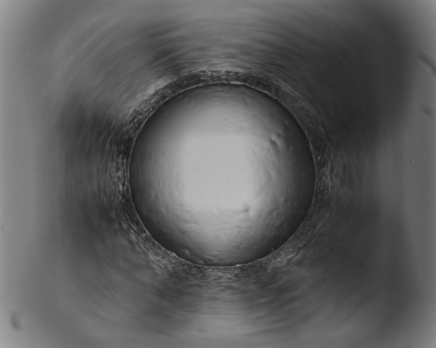 X0000103410870200809261641