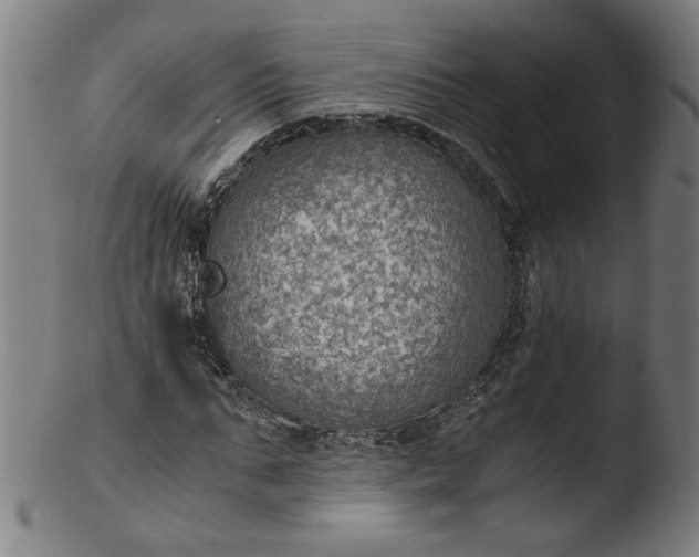 X0000103410871200809261641