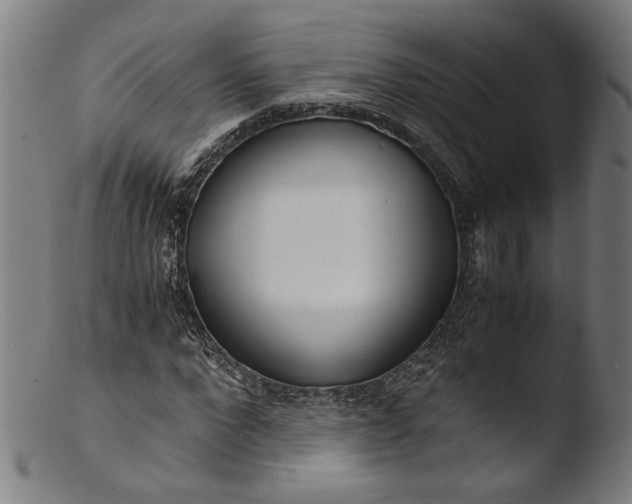 X0000103410872200809261641