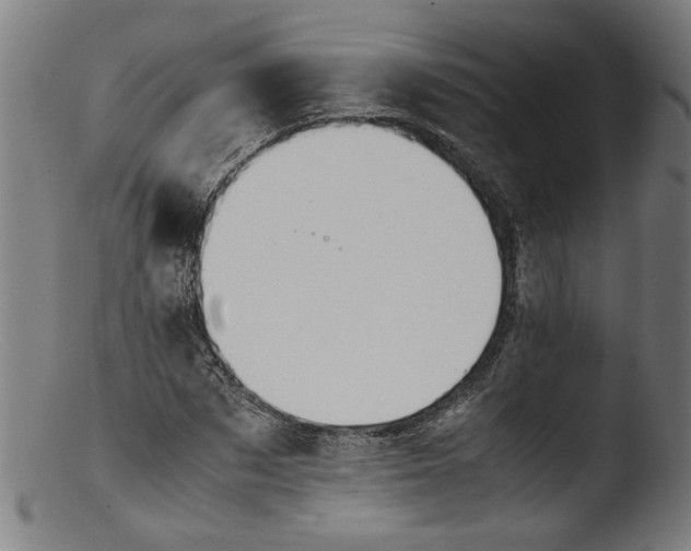 X0000103410873200809261641