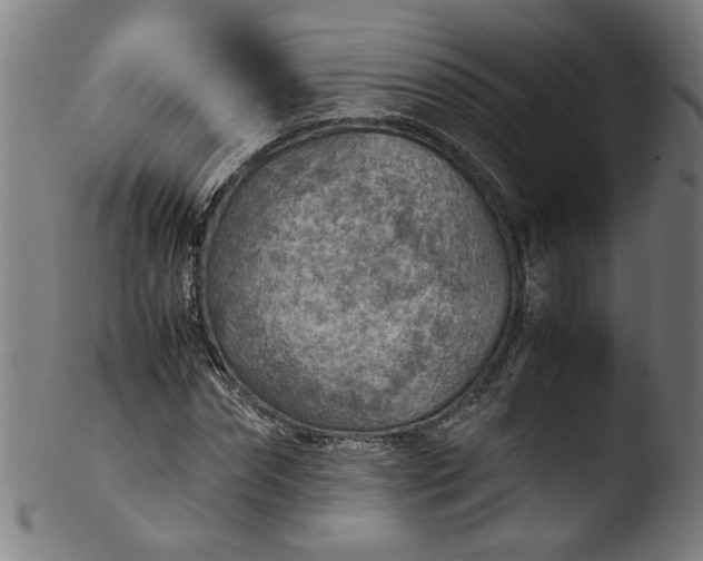 X0000103410874200809261641