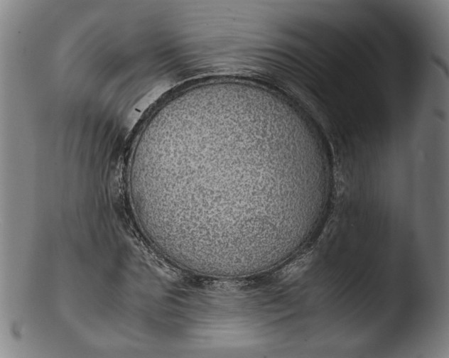 X0000103410875200809261641