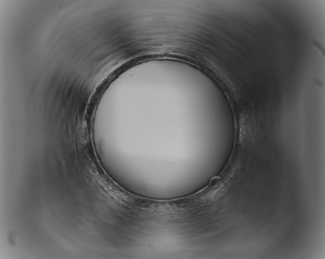 X0000103410876200809261641