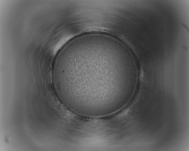 X0000103410877200809261641