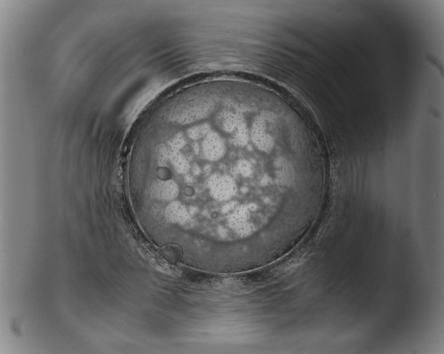 X0000103410879200809261641