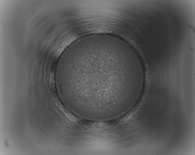 X0000103410881200809261641