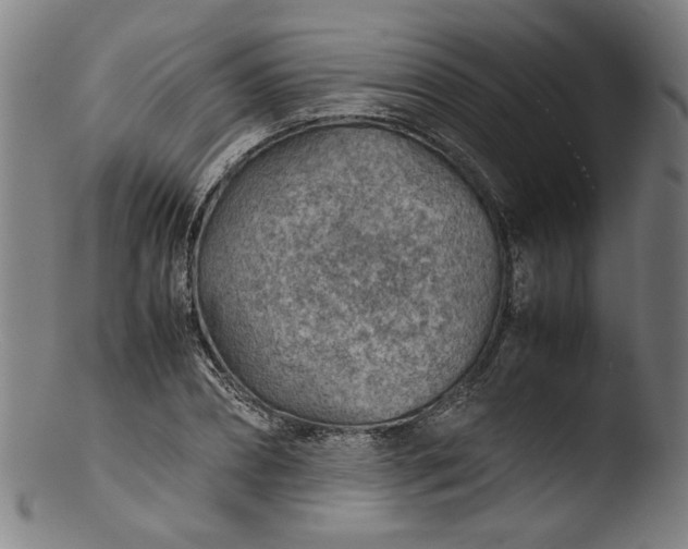 X0000103410882200809261641