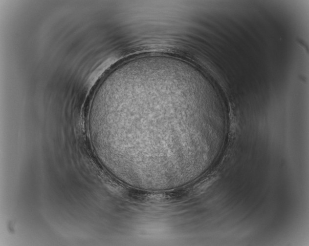 X0000103410883200809261641