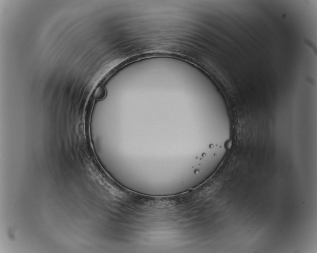 X0000103410884200809261641