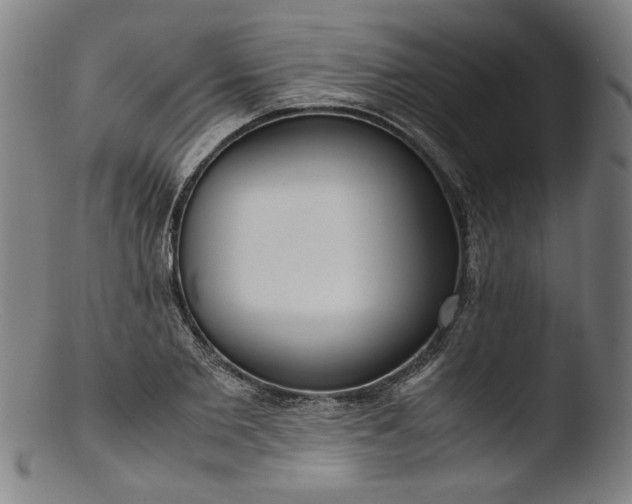 X0000103410885200809261641