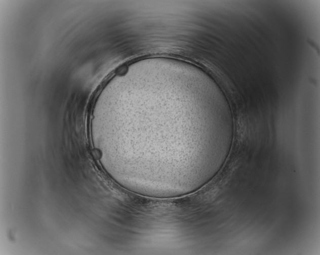 X0000103410886200809261641