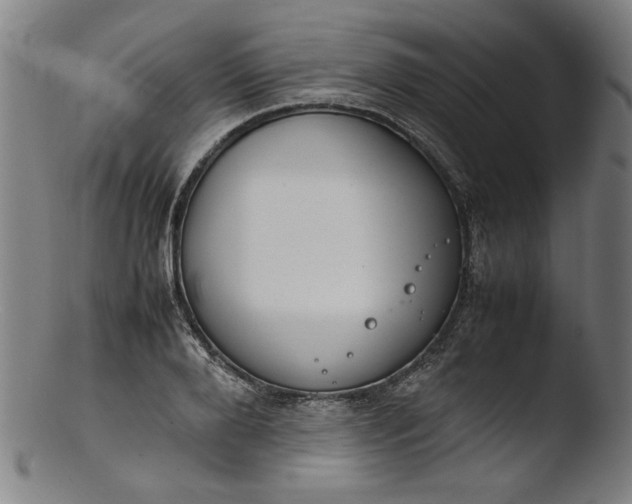 X0000103410888200809261641