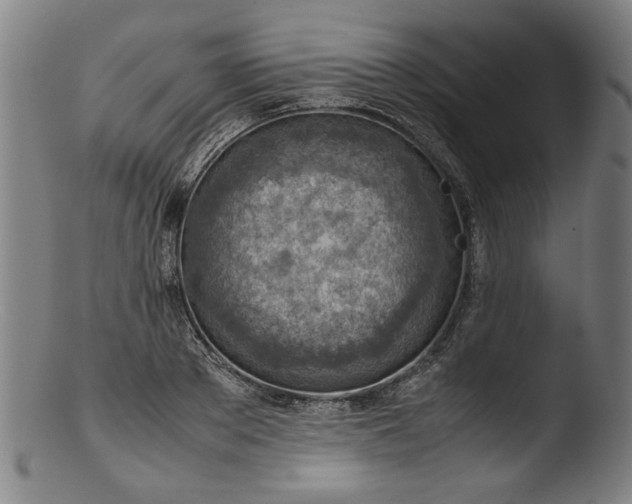 X0000103410889200809261641