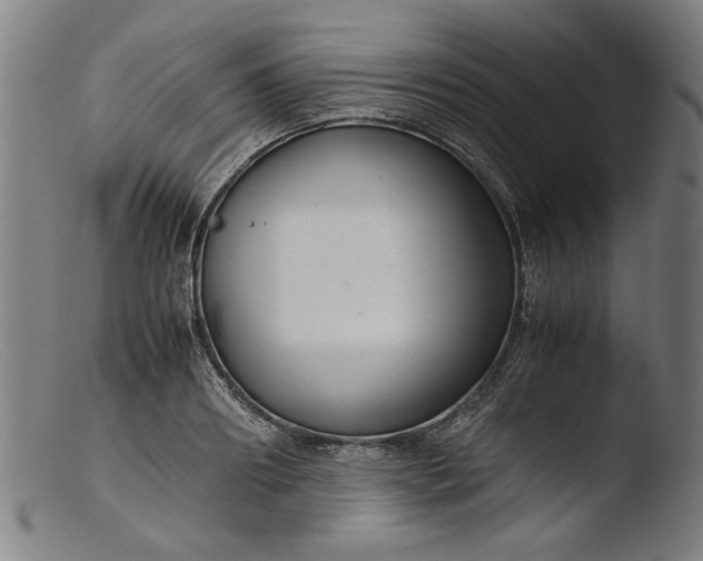 X0000103410890200809261641