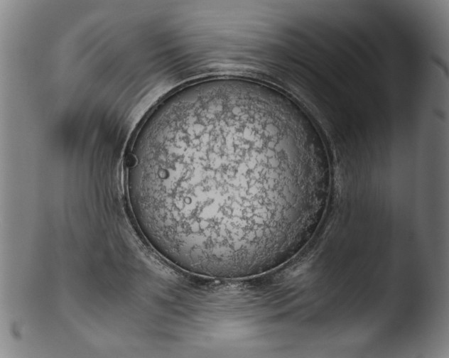 X0000103410891200809261641