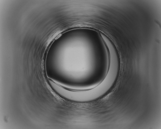 X0000103410893200809261641