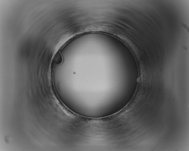 X0000103410894200809261641