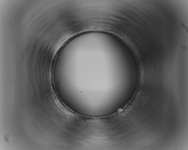 X0000103410896200809261641