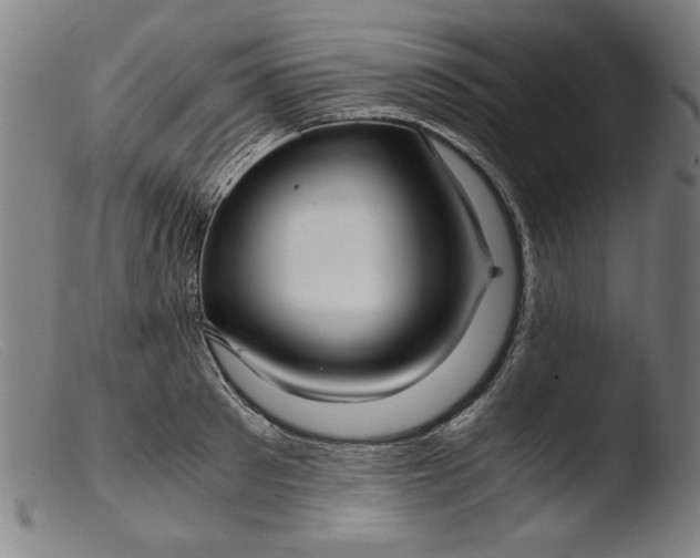 X0000103410897200809261641