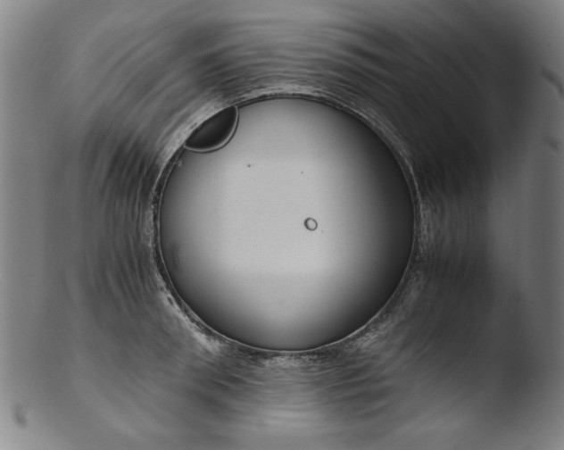 X0000103410898200809261641