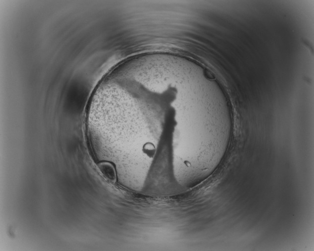 X0000103410899200809261641