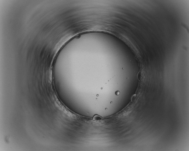 X0000103410900200809261641