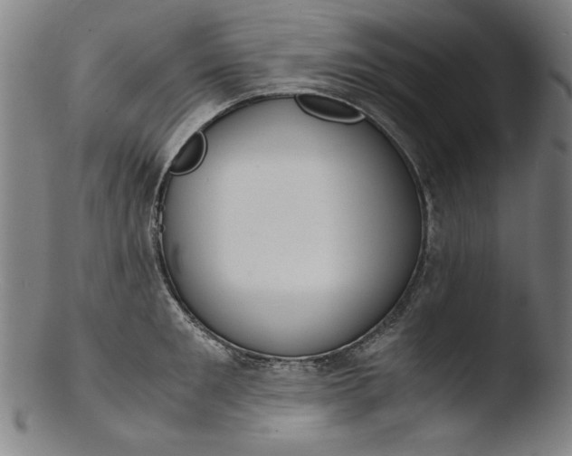 X0000103410901200809261641