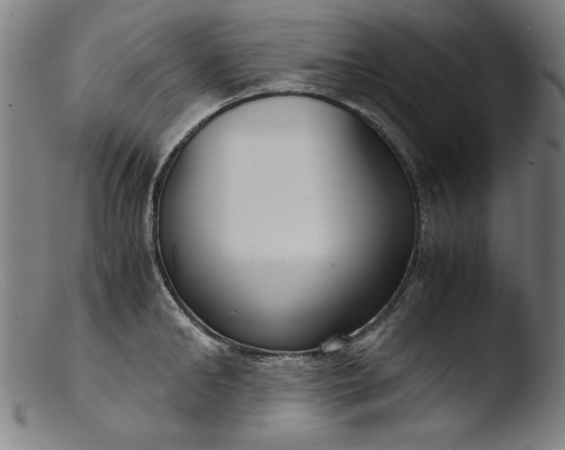 X0000103410902200809261641