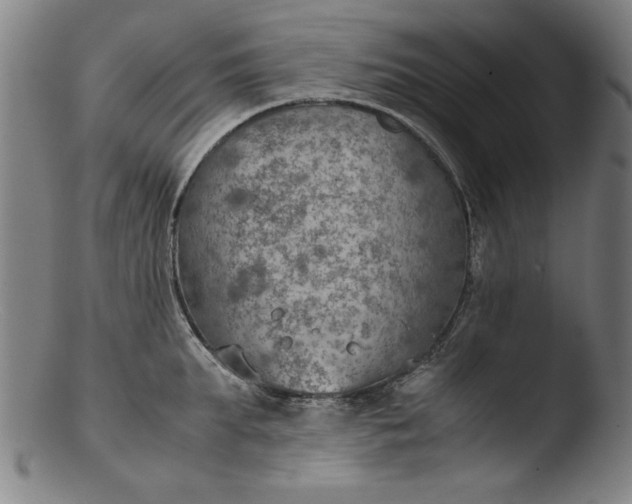 X0000103410903200809261641