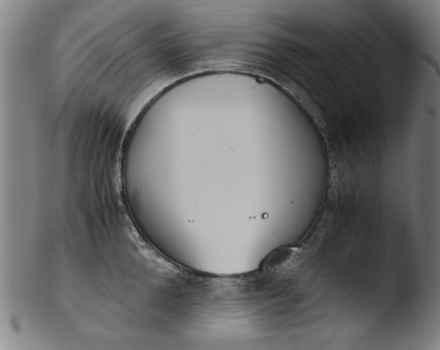 X0000103410904200809261641