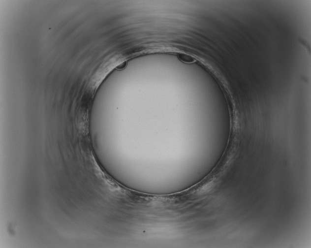 X0000103410905200809261641