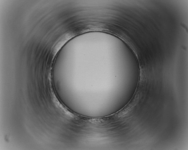 X0000103410906200809261641