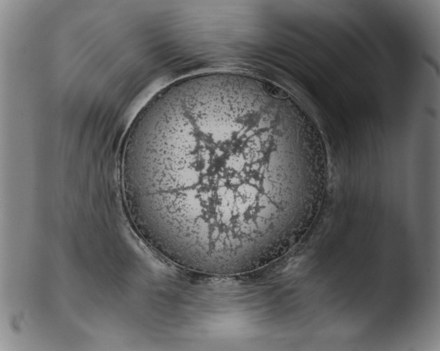 X0000103410907200809261641