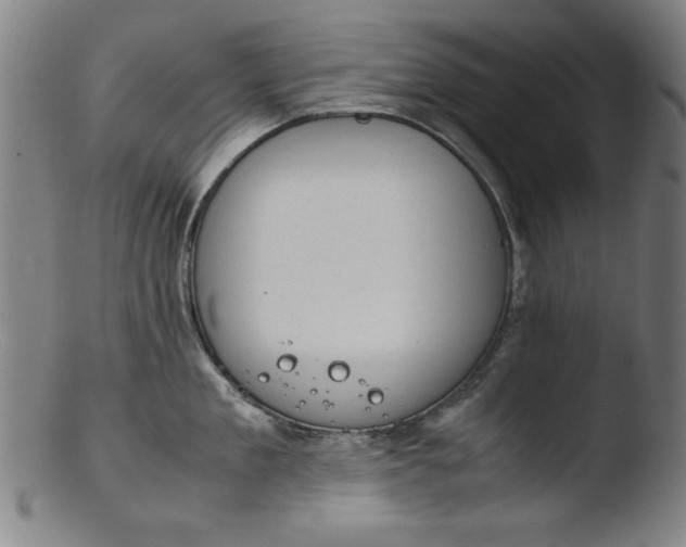 X0000103410909200809261641