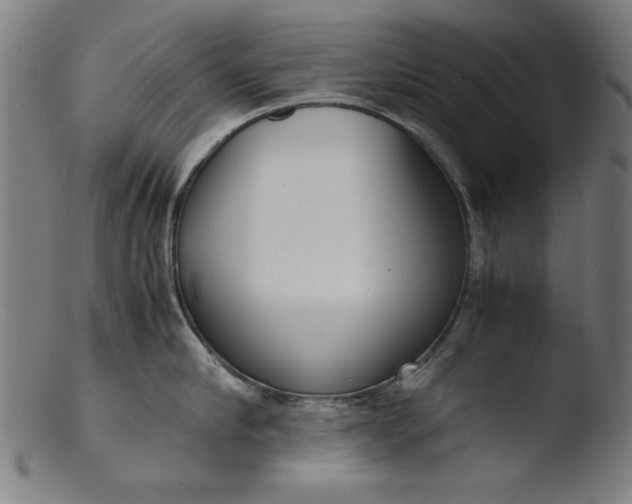 X0000103410910200809261641