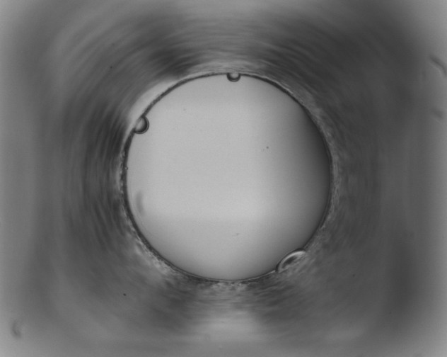 X0000103410912200809261640