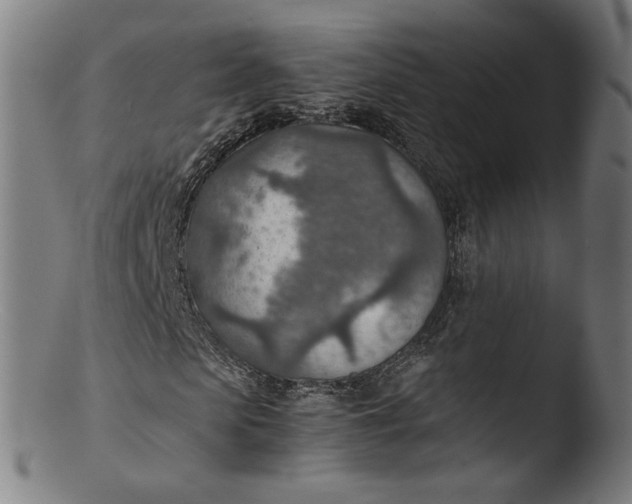 X0000103410913200809261640